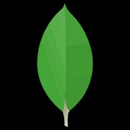 MongoDB