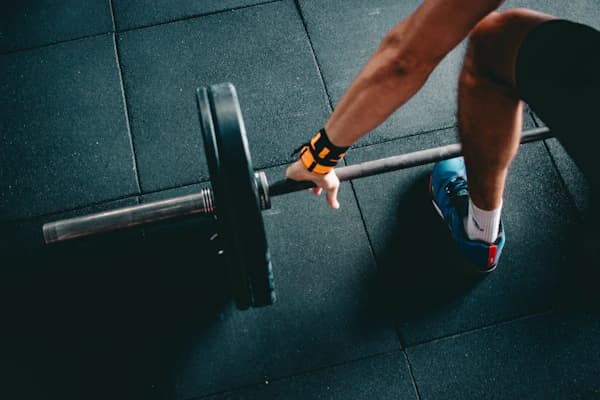 Fitness & Wellness App Development